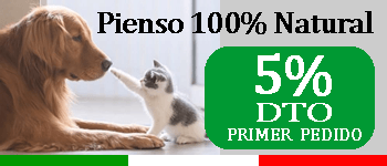 Mejor pienso para perros